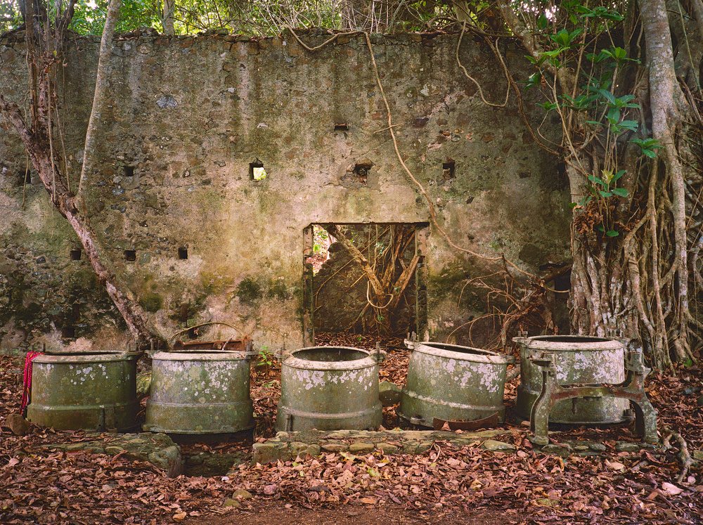 Photograph by Arturs Biceks