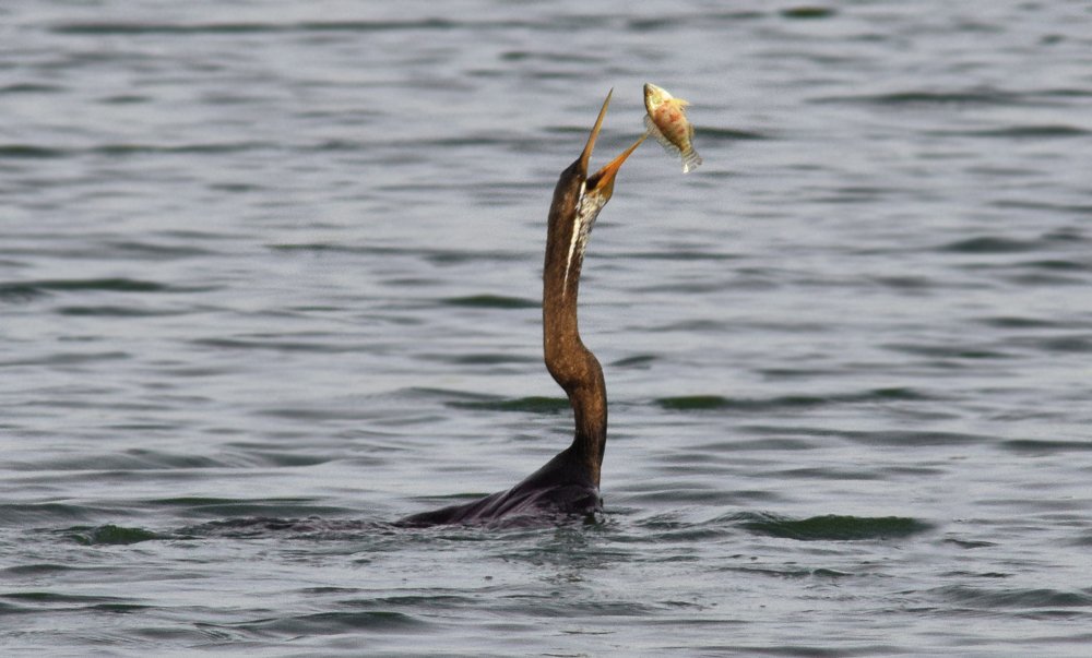 Photograph by Rohit Sinha