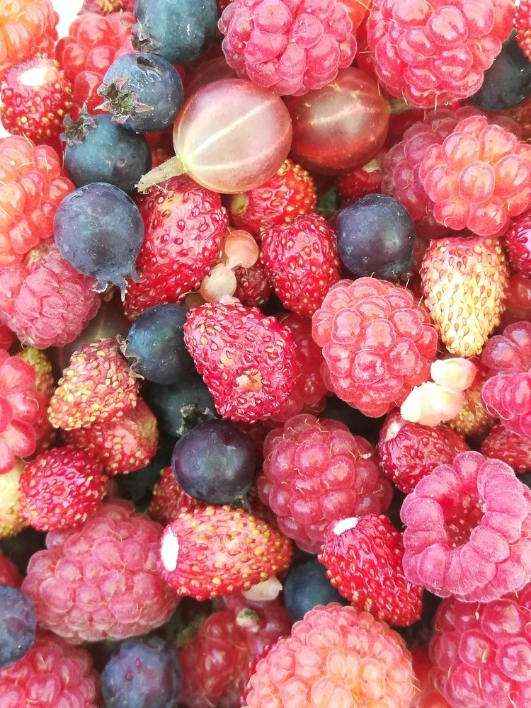 Sweet berries