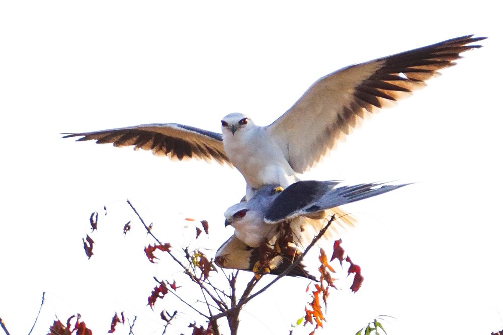 Photograph by Bhoobalakrishnan G