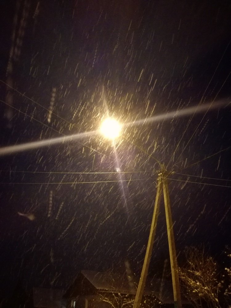 Photograph by Антонина Трифонова