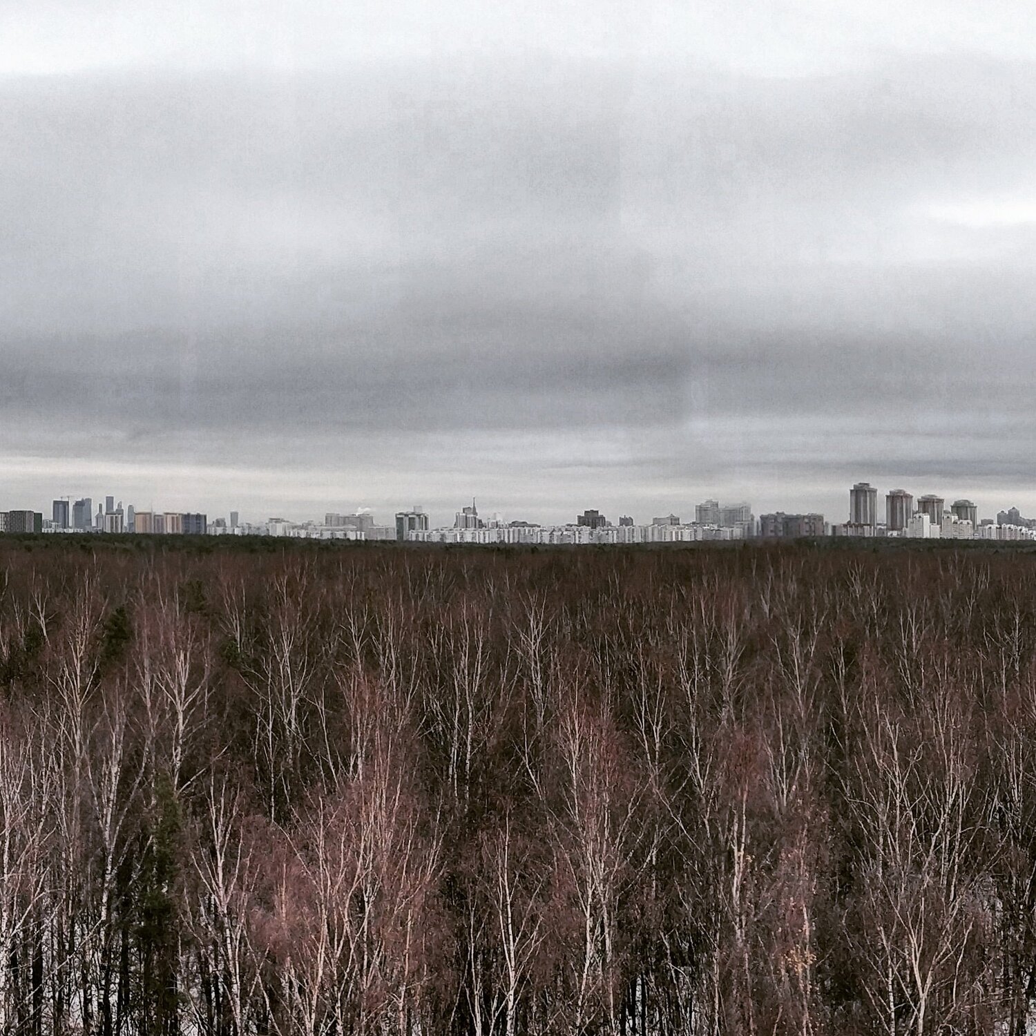 Photo #4387000
