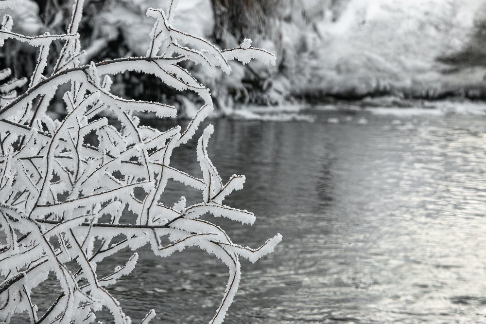 Photograph by Yaroslav