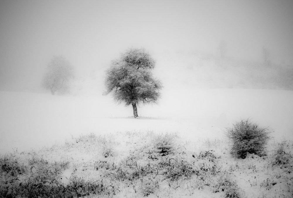 The snowy day inArmenia.