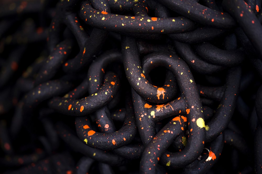 Photograph by  Pallab