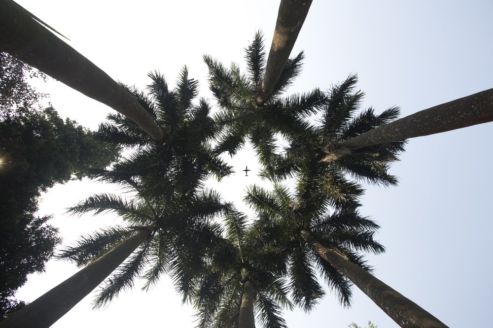 Photograph by Ashraf Uddin Ahmed (joy)