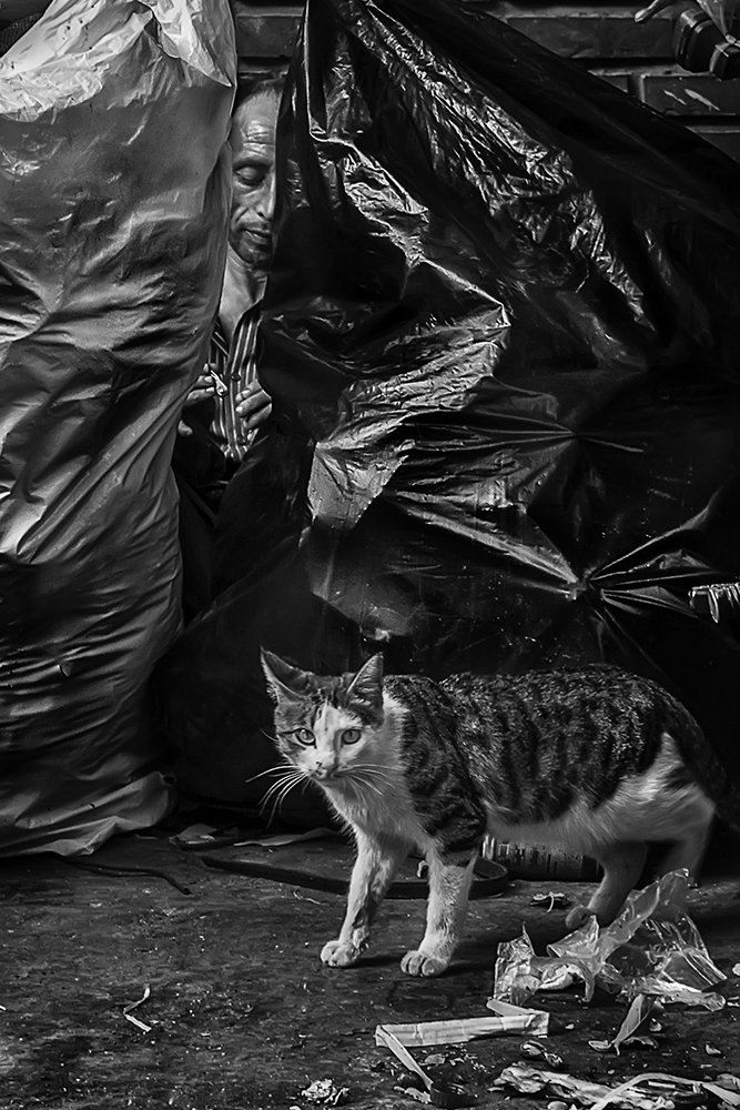 Photograph by amir badrazimi