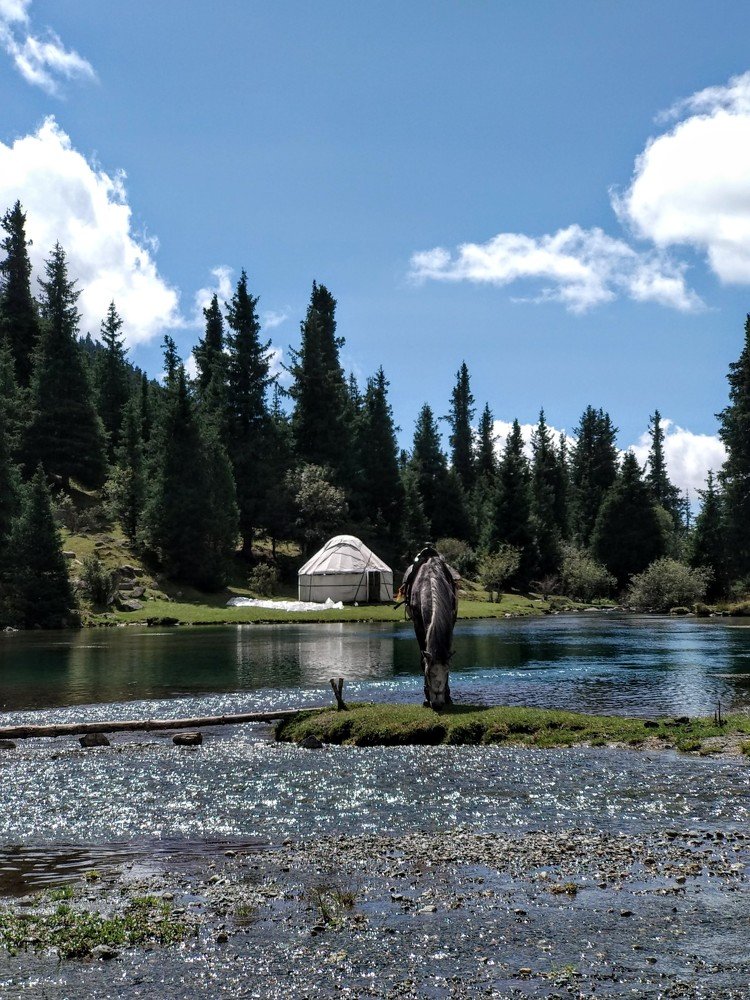 Photograph by Наиля Омарова