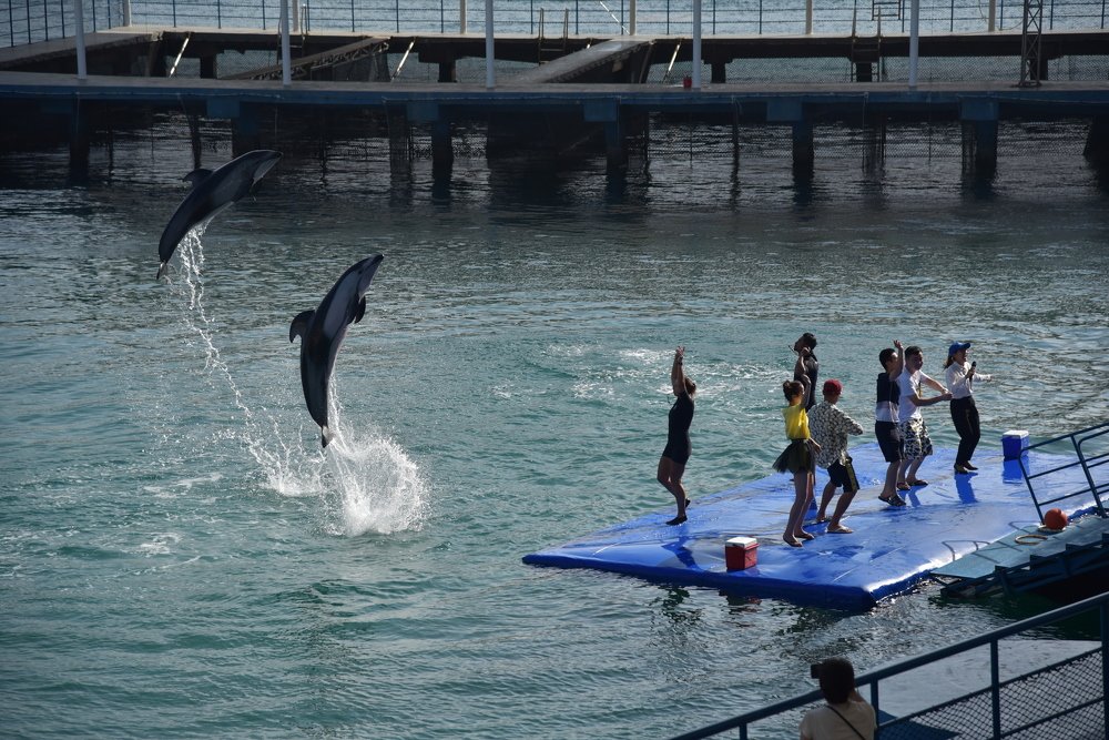 Photograph by Людмила Воропаева