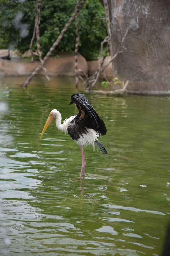 Photograph by Людмила Воропаева