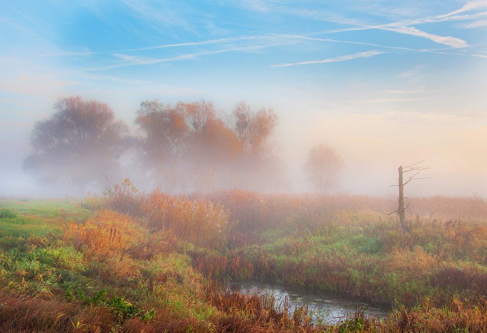 Photograph by MARIAN SKAPSKI