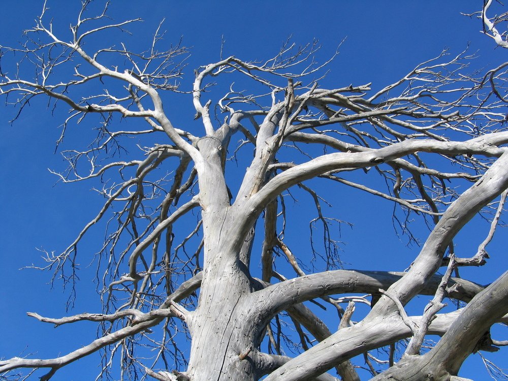 Photograph by петр чиков