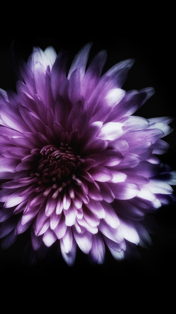 " Растворение "