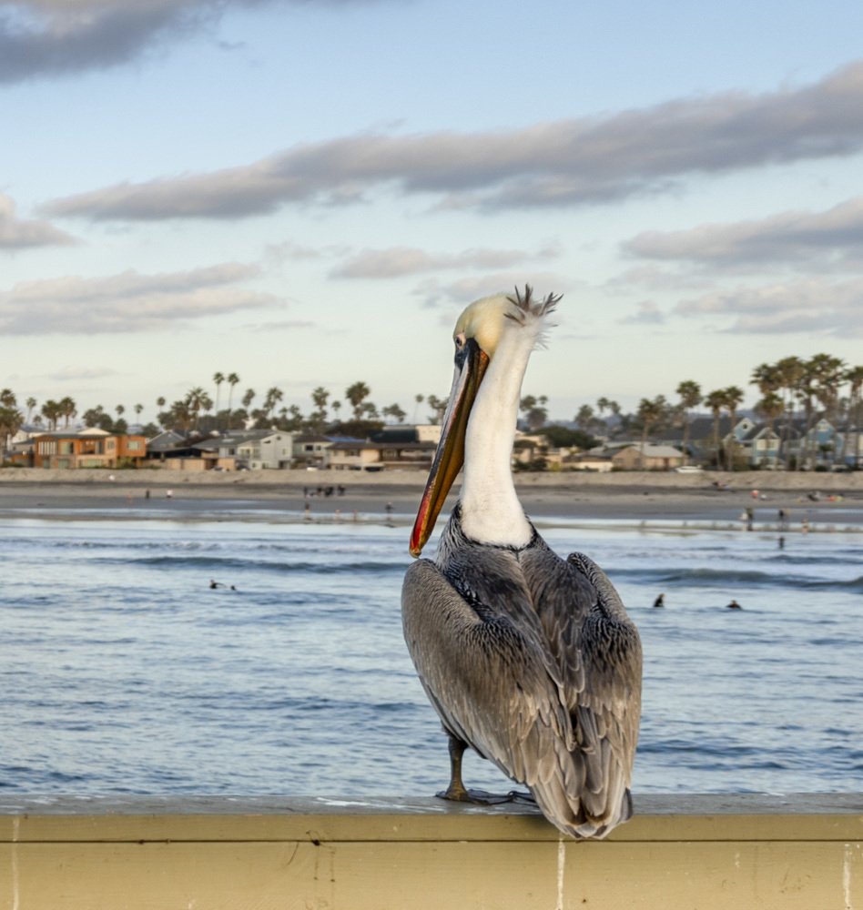 Photograph by Olga Serebryannaya