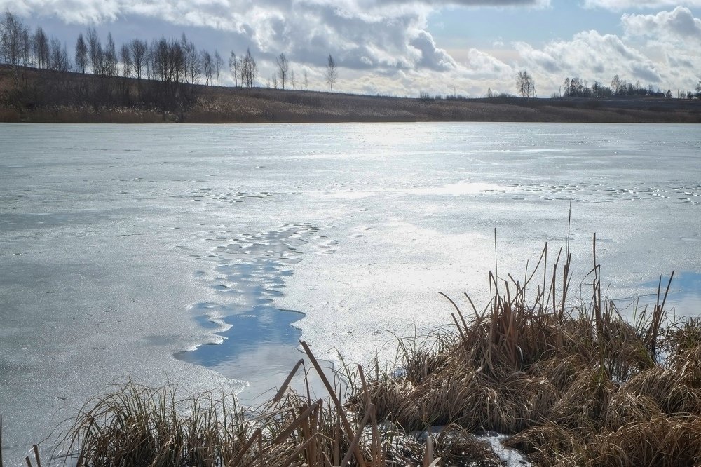 Photograph by Наталья Манусова