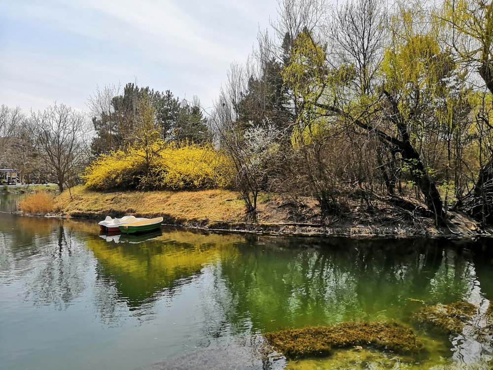 Photograph by Леонид