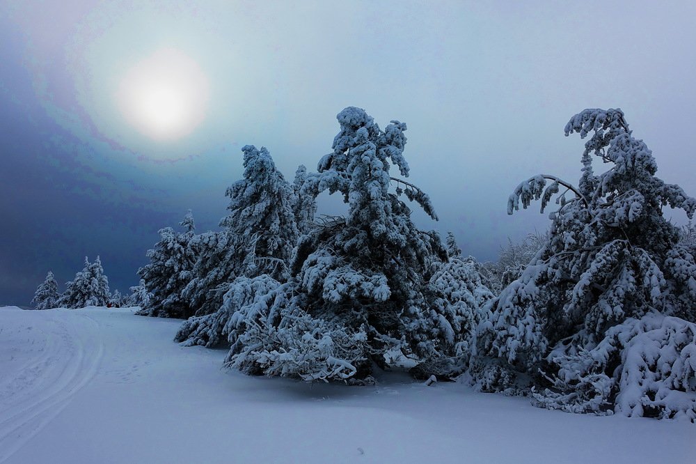 Photograph by Леонид