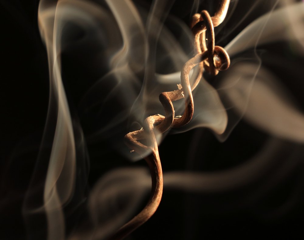 Photograph by Александр Шаварёв