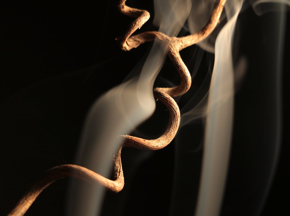 Photograph by Александр Шаварёв