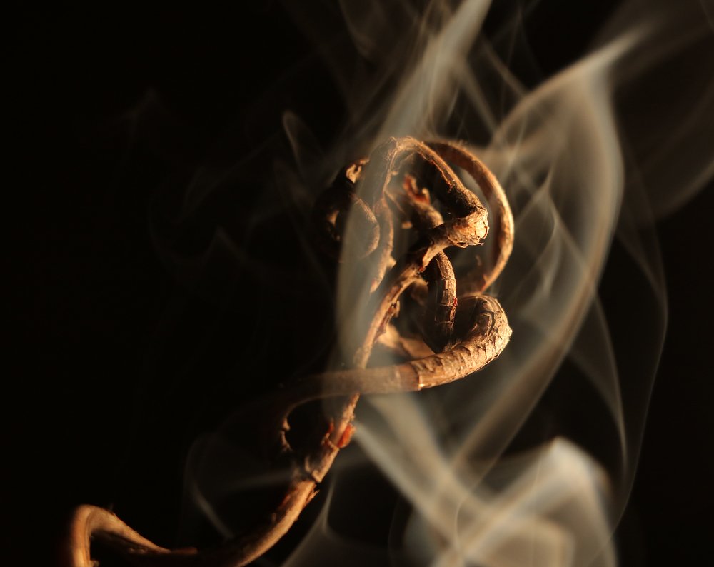 Photograph by Александр Шаварёв