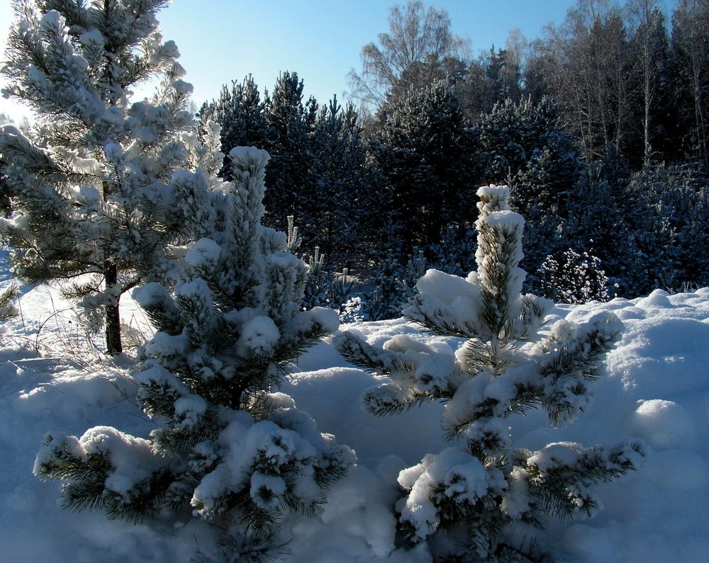 Photograph by Игорь Быков