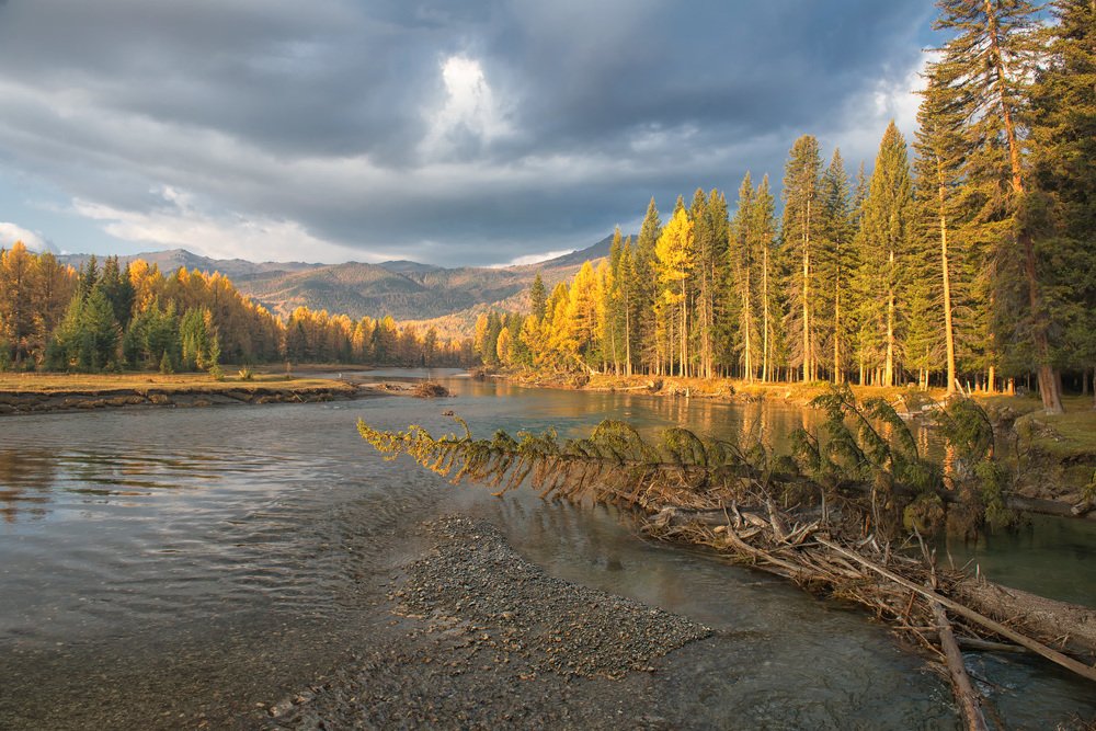 Photograph by Константин Белошапкин