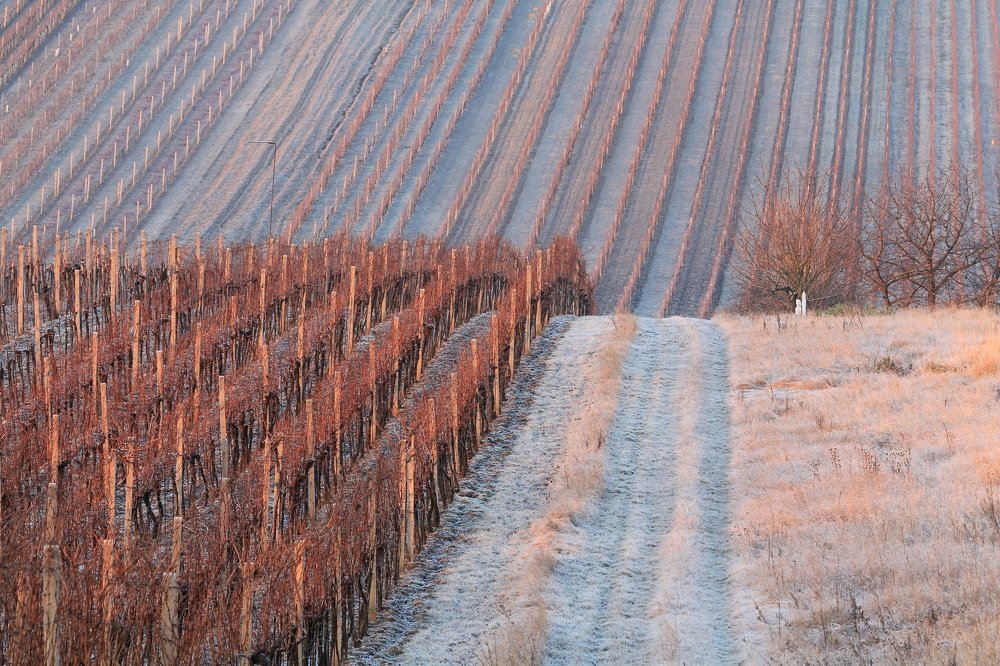 Photograph by Елена Боганова