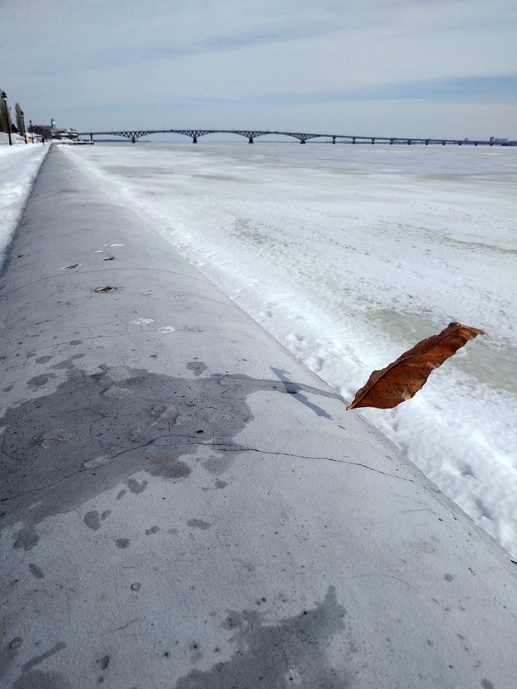 Ветром унесённый