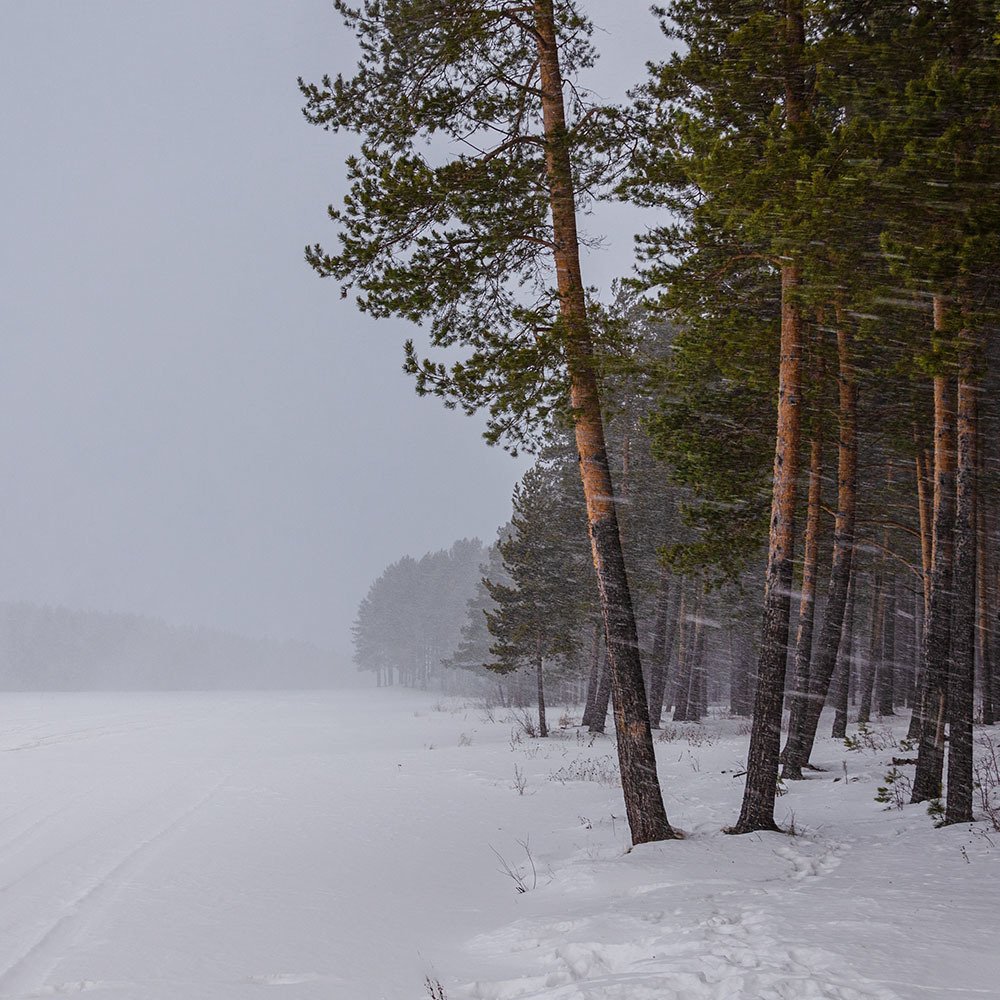 Photograph by Sergey L