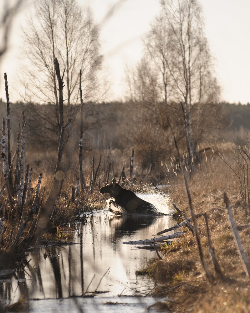 Photograph by Яроцкий Михаил