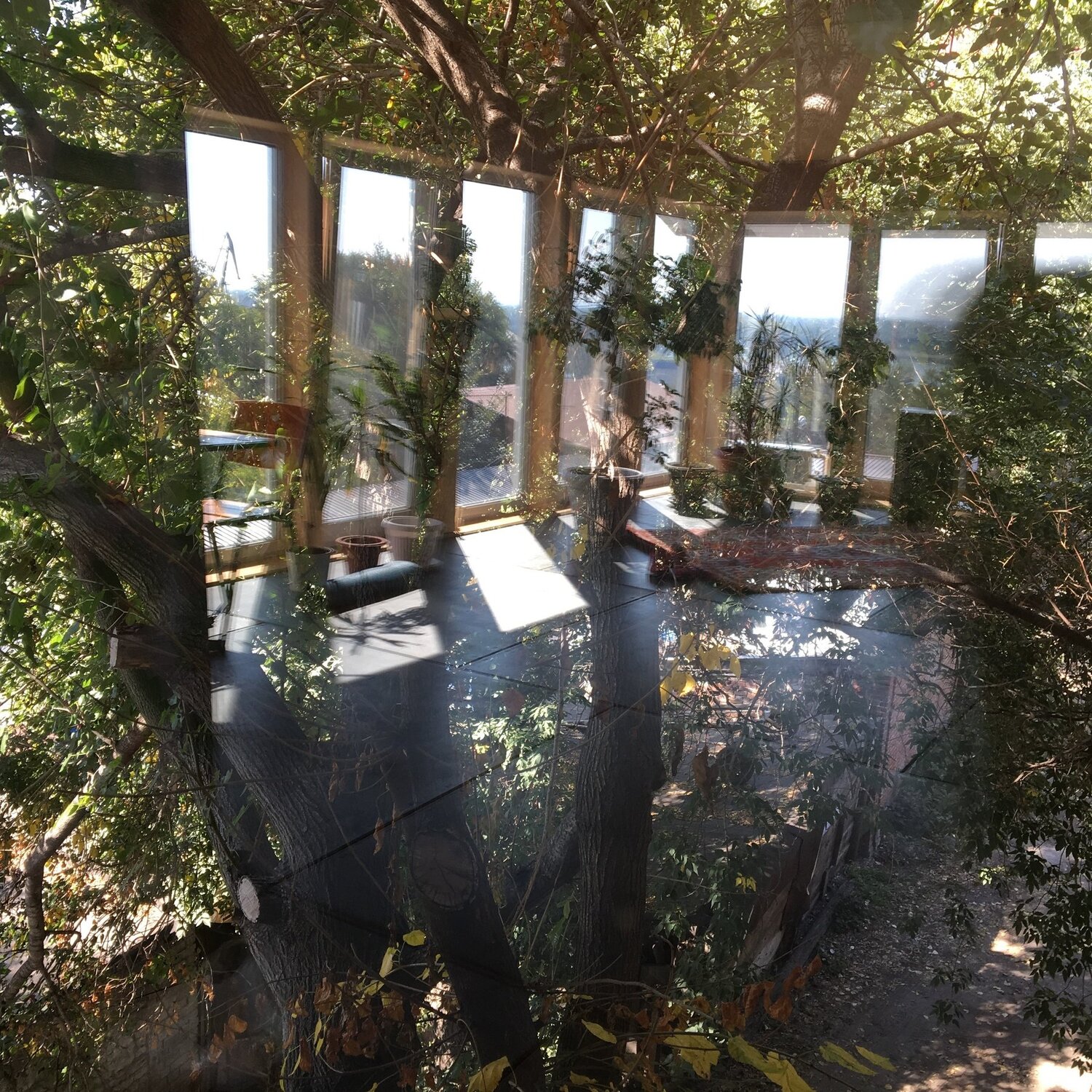 Photo #4387444