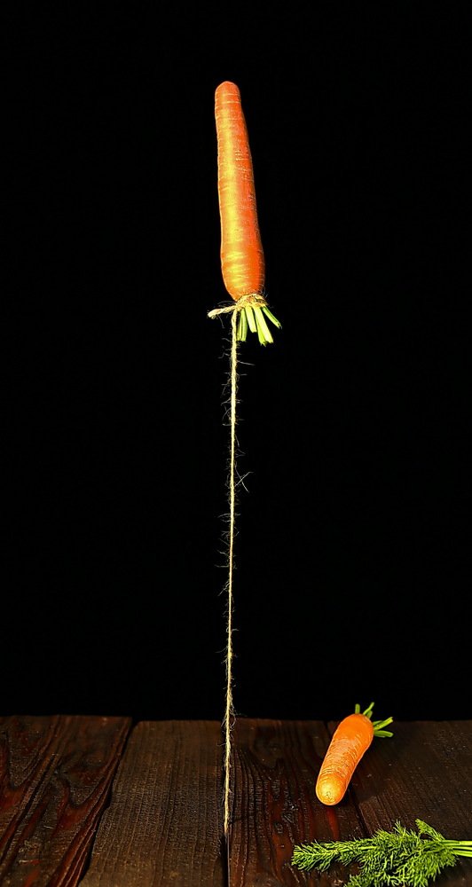 Photograph by Александр Татаринцев