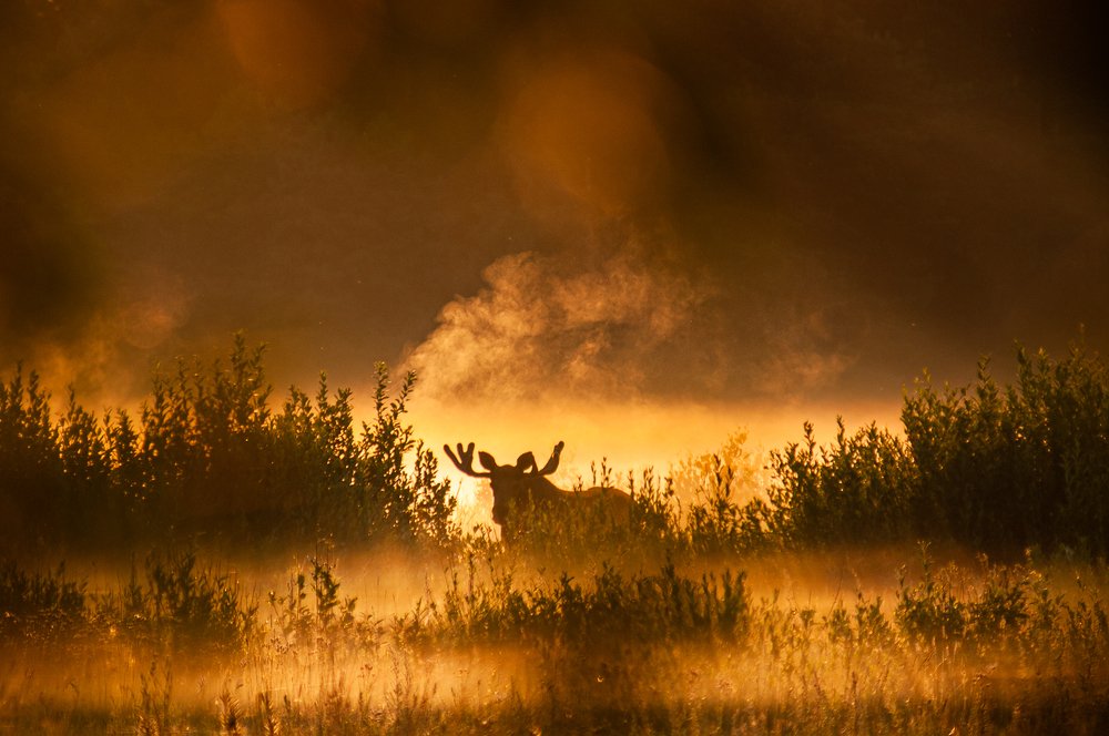 Photograph by Яроцкий Михаил