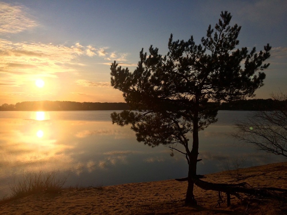 Февральский закат