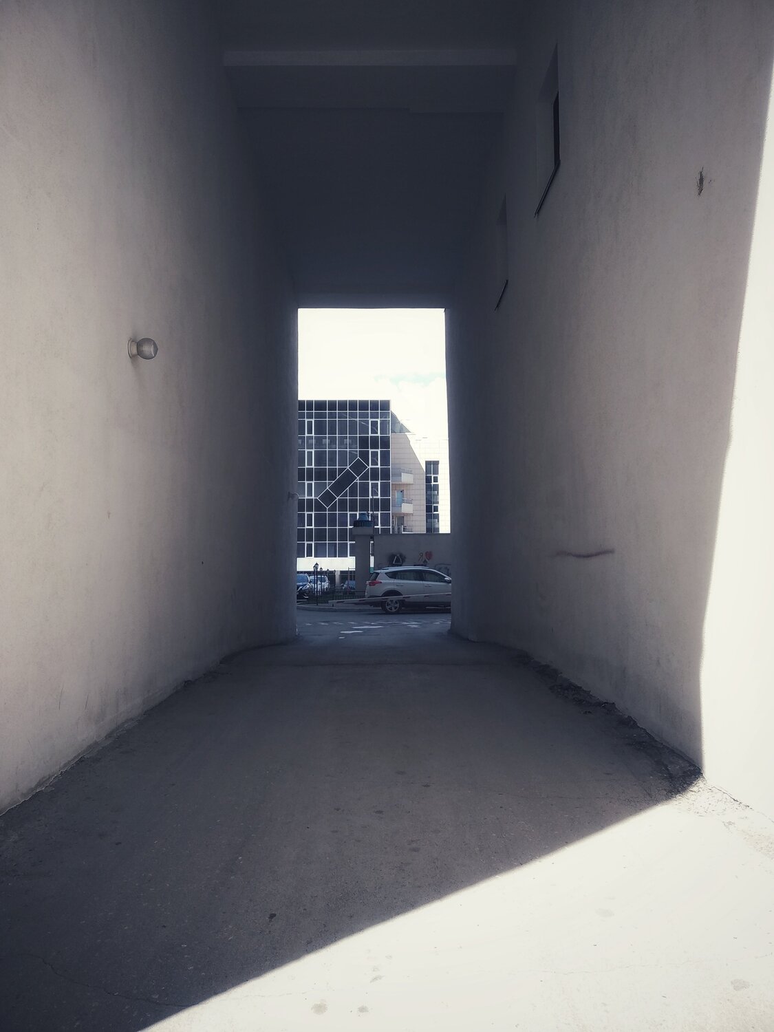 Photo #4387512