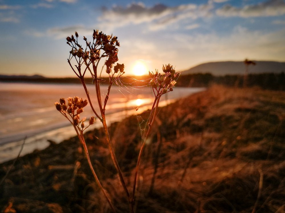 Photograph by Мария Лукашева