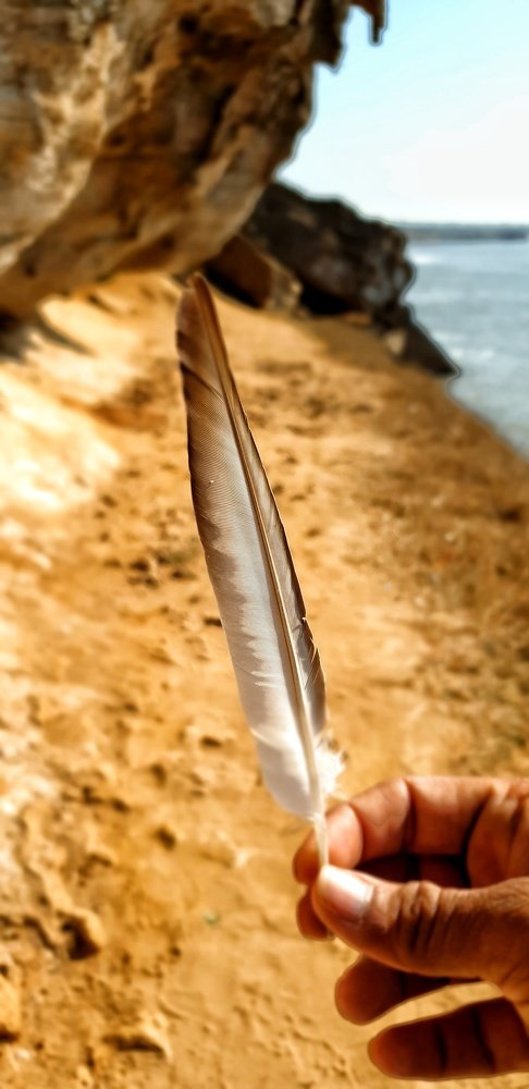 Photograph by Pavnil Patel