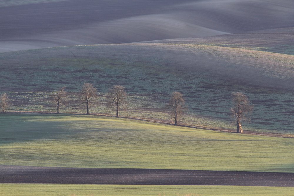 Photograph by Елена Боганова