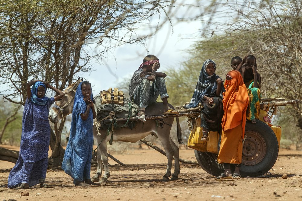 The Friendships : Happiness and Hope