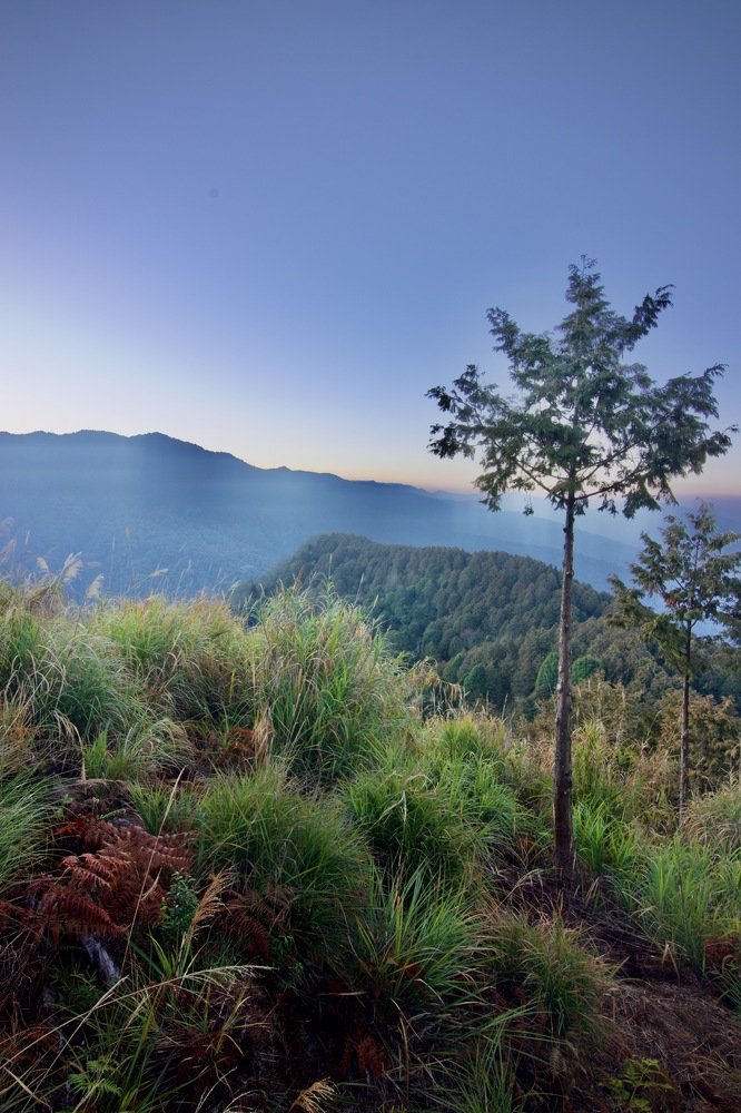 Mesmerising Morning View