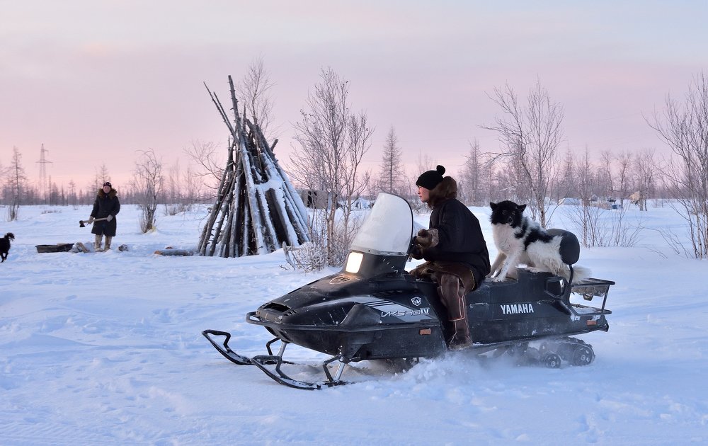 Photograph by Людмила Заботина