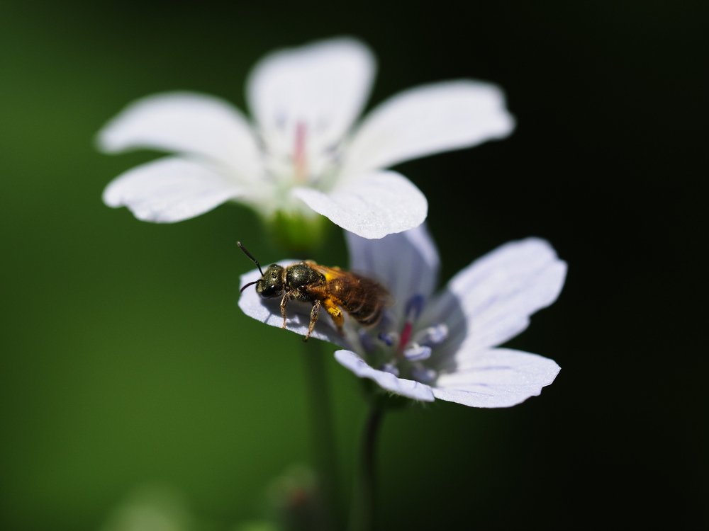 Photograph by Артем Харисов