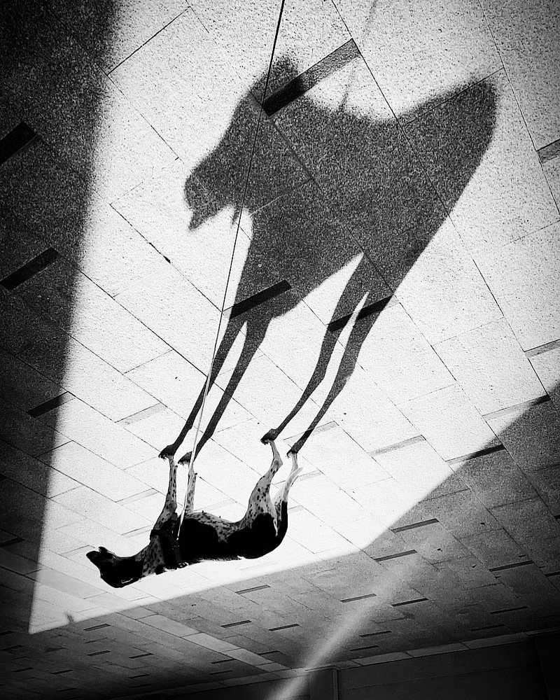 Photograph by Olga Fedorova