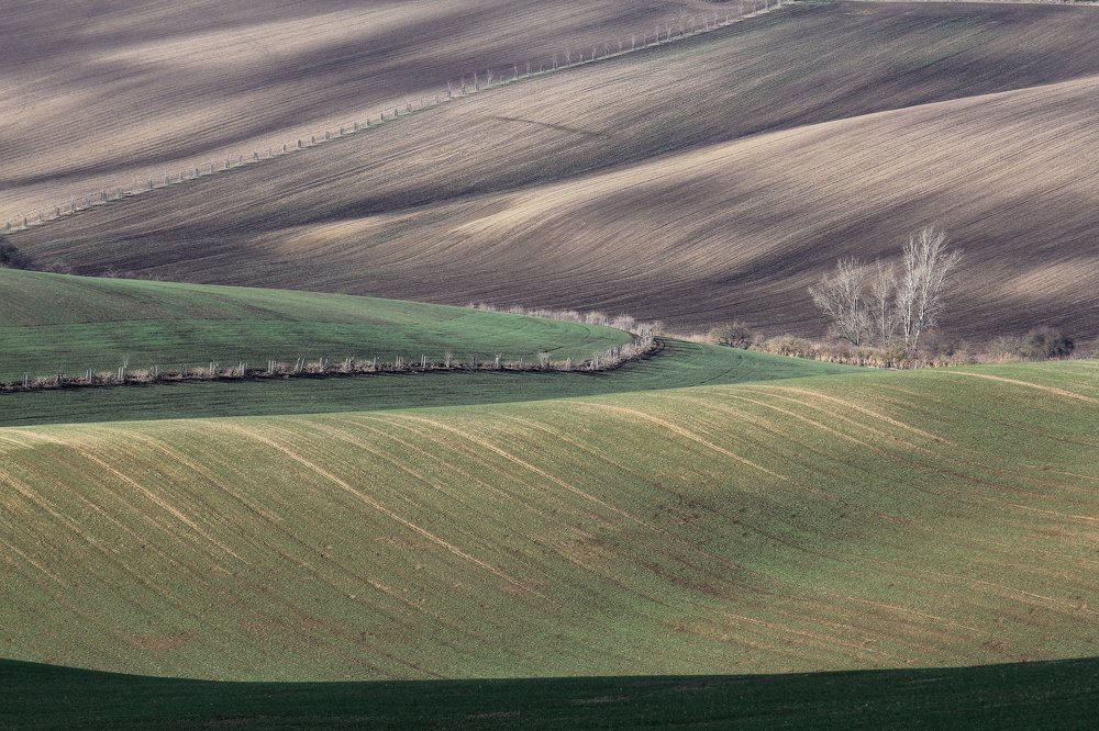 Photograph by Елена Боганова