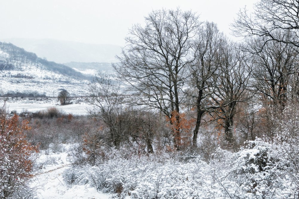 Photograph by YanaGG