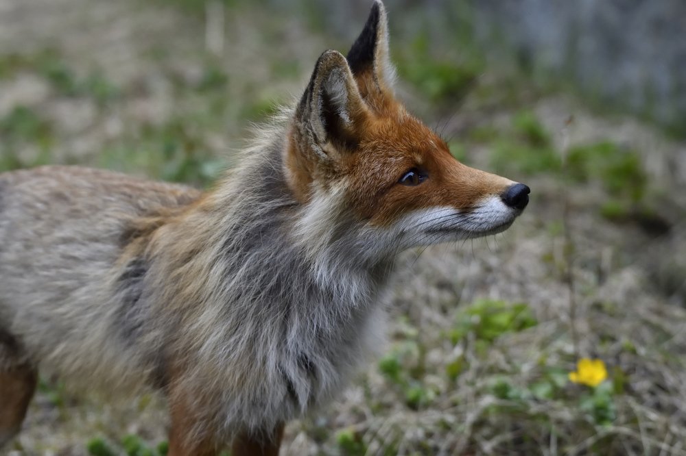 Photograph by Алекс Ежов