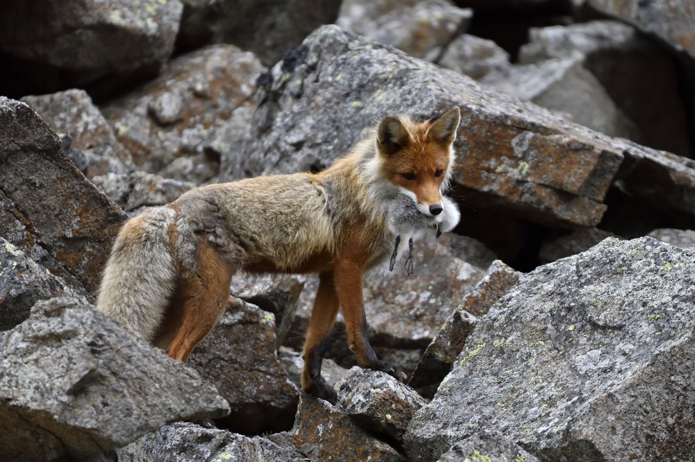 Photograph by Алекс Ежов