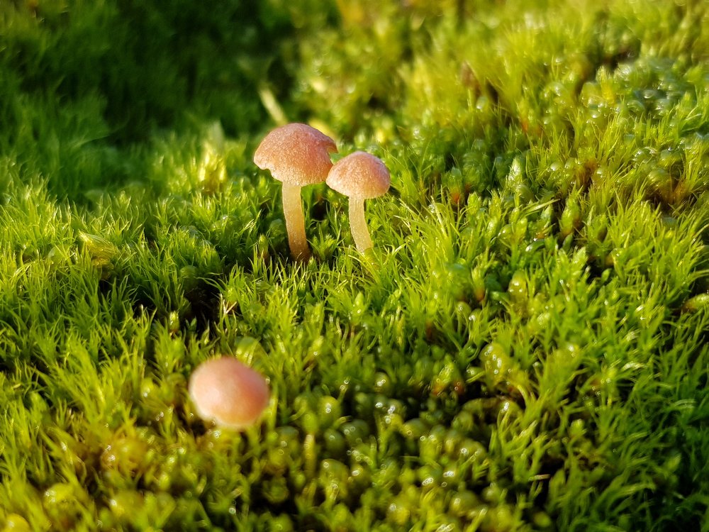 Photograph by Алекс Ежов