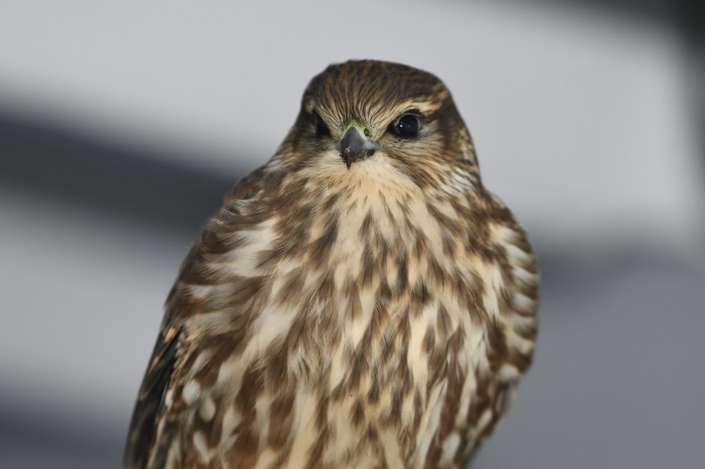 Photograph by Алекс Ежов