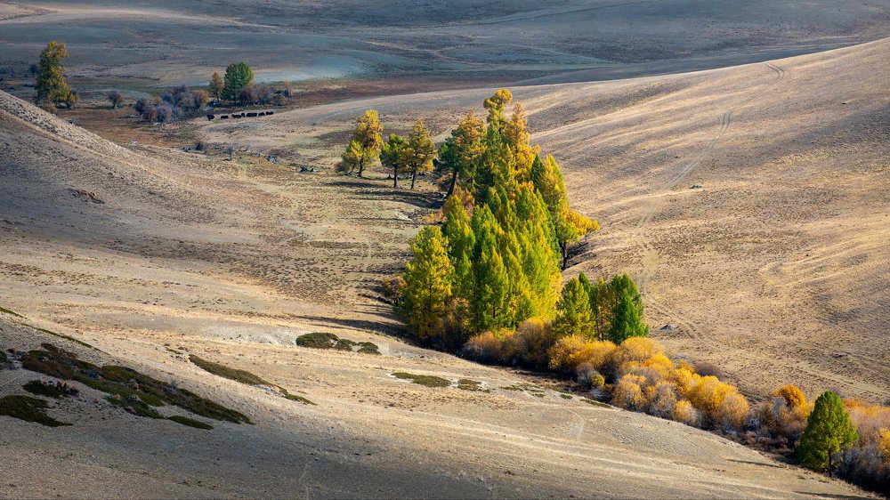 Алтайские диагонали.